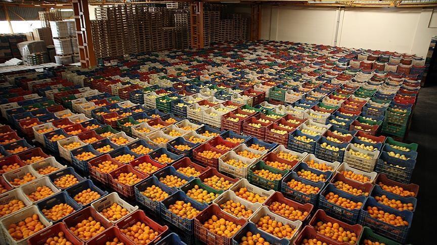 Ege Yaş Meyve Zerzevat İhracatçıları Birliği rekor ihracat bekliyor