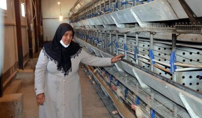Tavukları ölen bayan girişimciye 5 bin hayvanla takviye