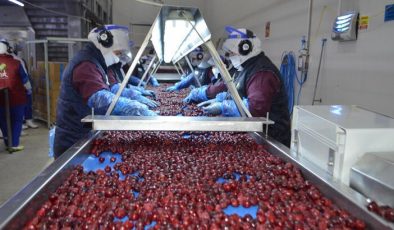 Afyonkarahisar’dan 30 ülkeye dondurulmuş meyve ihracatı